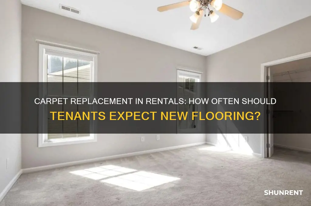 when renting how often should carpet be replaced