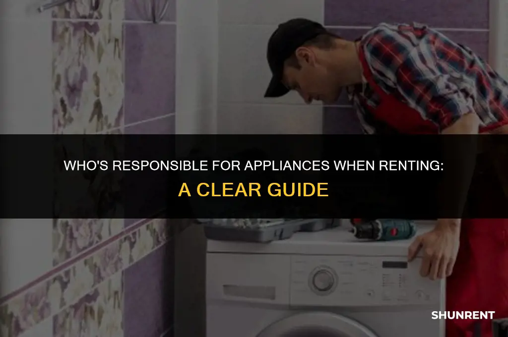 when renting who is responsible for appliances
