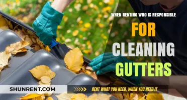 Who Handles Gutter Cleaning: Tenant or Landlord Responsibilities Explained