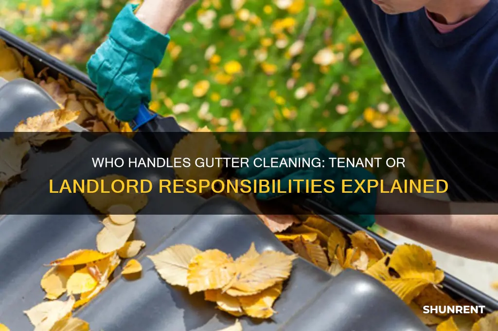 when renting who is responsible for cleaning gutters