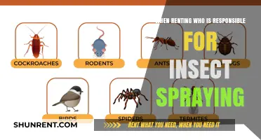 Renting Responsibilities: Who Handles Insect Spraying in Your Home?