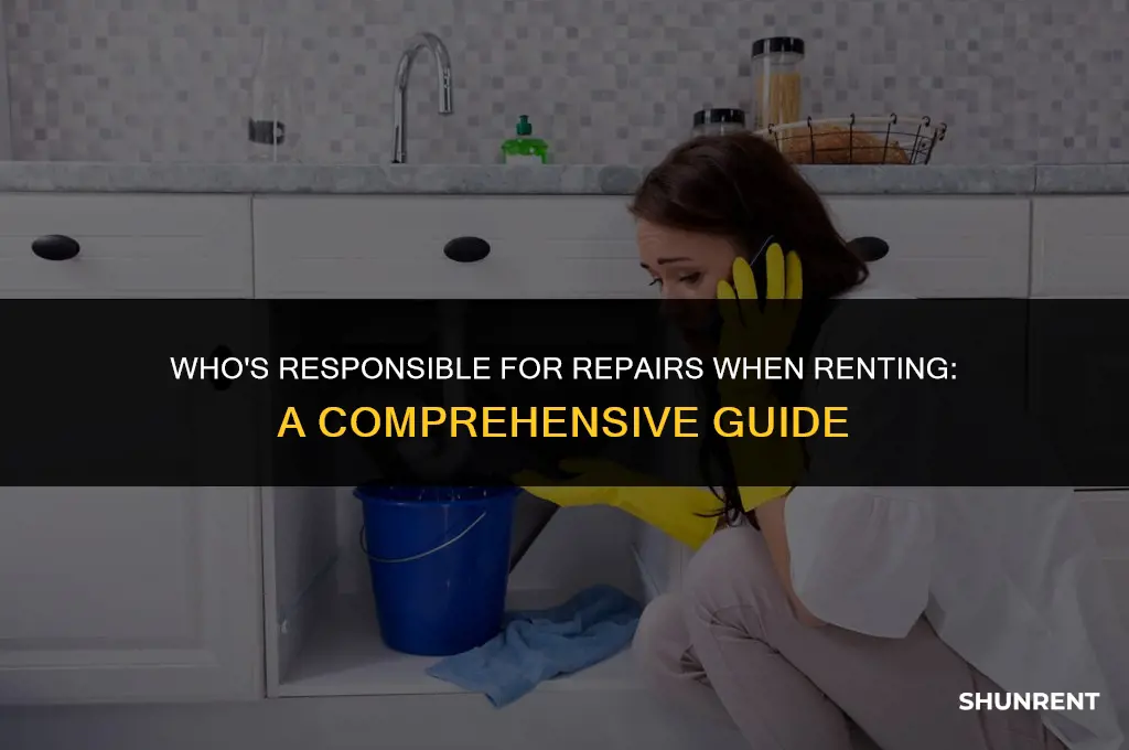 when renting who is responsible for repairs