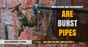 Who's Responsible for Burst Pipes When Renting: A Comprehensive Guide
