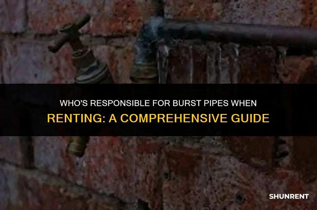 when renting whos responsibility are burst pipes