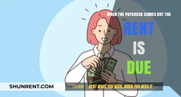 Paycheck Arrives, Rent Calls: Balancing Income and Expenses Effectively