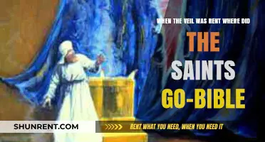 Where Did the Saints Go When the Veil Was Rent?
