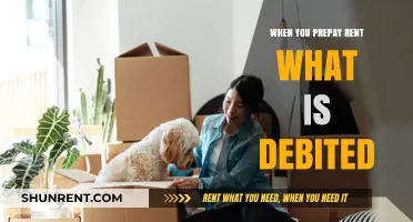 Understanding Prepaid Rent: A Guide to Debit Entries