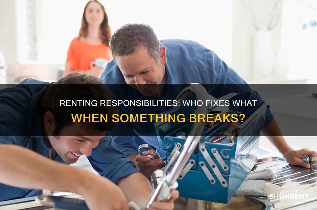 when you rent are you responsible when something breaks