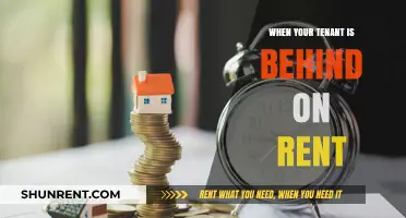 Navigating Late Rent Payments: A Landlord's Guide to Effective Communication