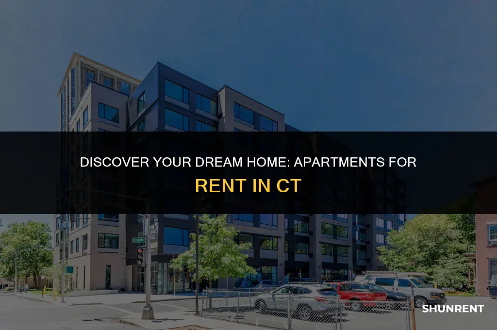 where are apartmentslisted for rent in ct