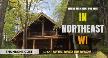 Discover Cozy Cabin Rentals in Northeast Wisconsin: Your Ultimate Guide