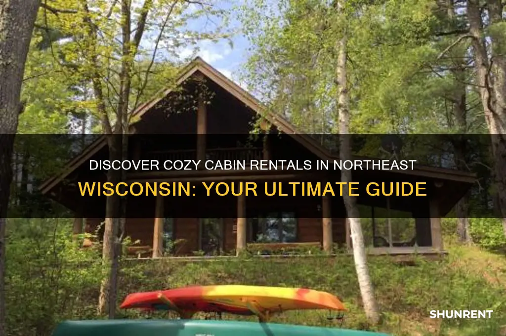 where are cabins for rent in northeast wi
