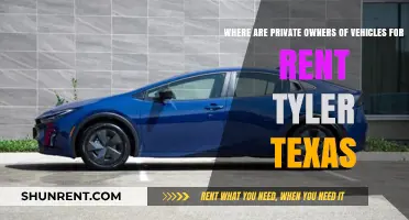Private Vehicle Rentals in Tyler, Texas: Where to Find Owners