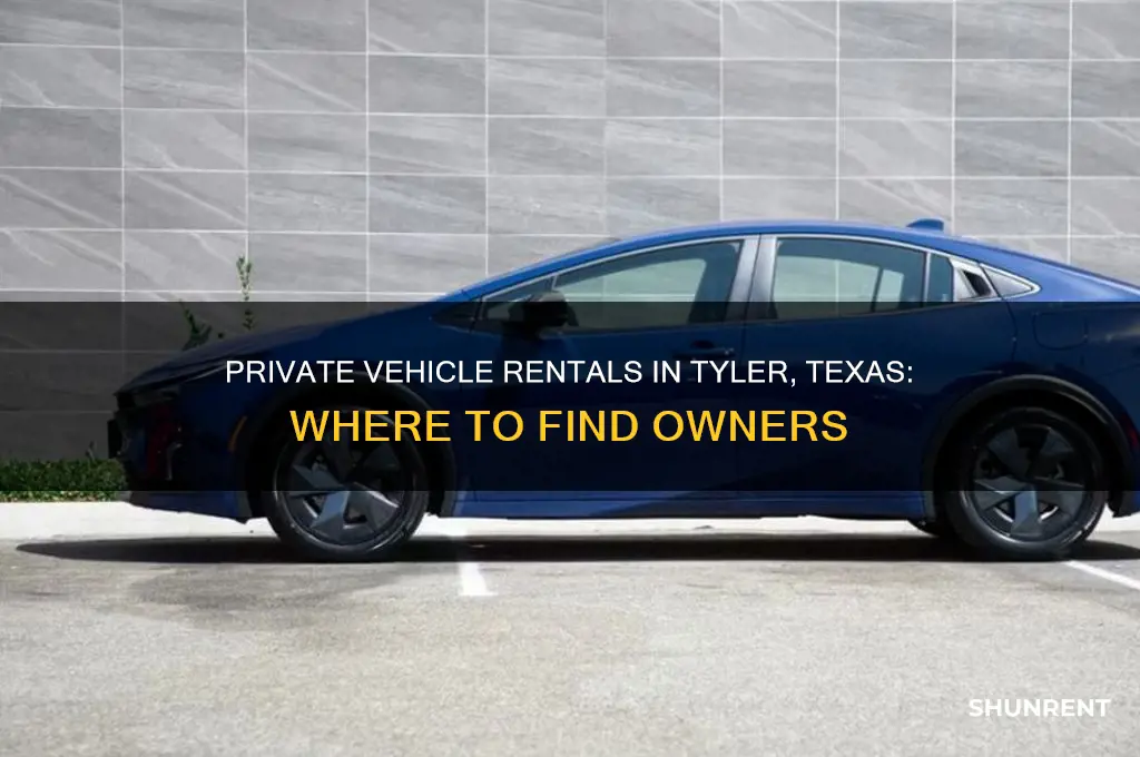 where are private owners of vehicles for rent tyler texas