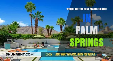 Top Palm Springs Rental Hotspots: Where to Live in Style