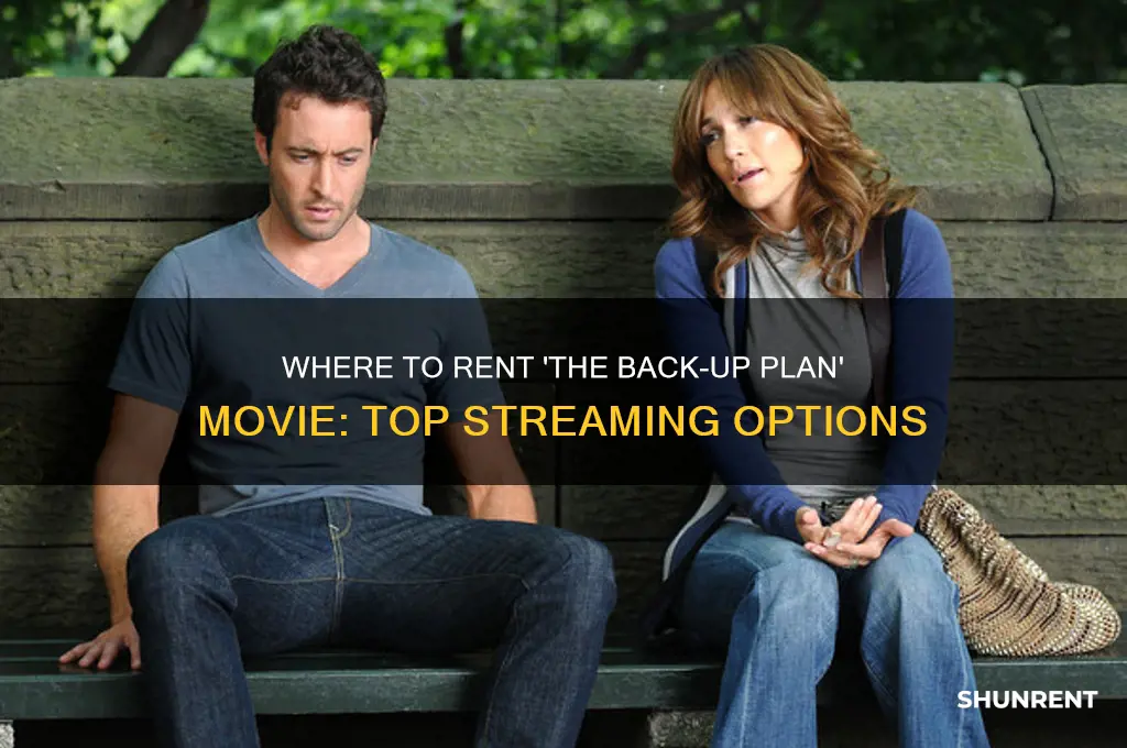 where could i rent the back up plan