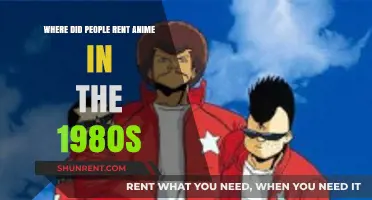 Renting Anime in the 1980s: A Nostalgic Journey Through VHS Stores