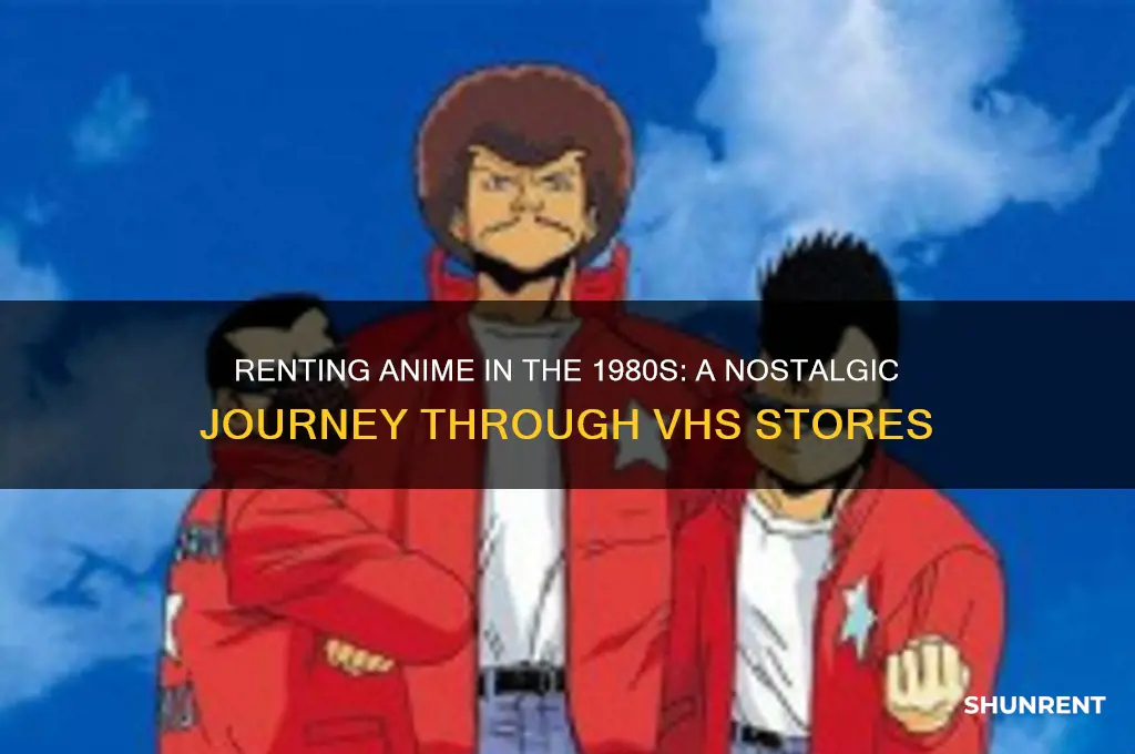 where did people rent anime in the 1980s