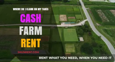 Claiming Cash Farm Rent on Taxes: A Step-by-Step Guide