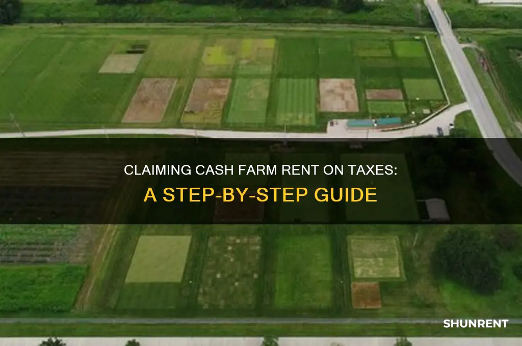 where do i claim on my taxes cash farm rent
