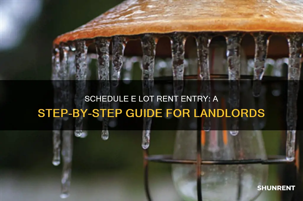 where do i enter lot rent on schedule e