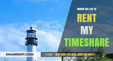 Where to Rent Your Timeshare: Top Platforms and Tips
