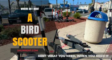 Where to Rent a Bird Scooter: Your Ultimate Guide to Urban Transportation