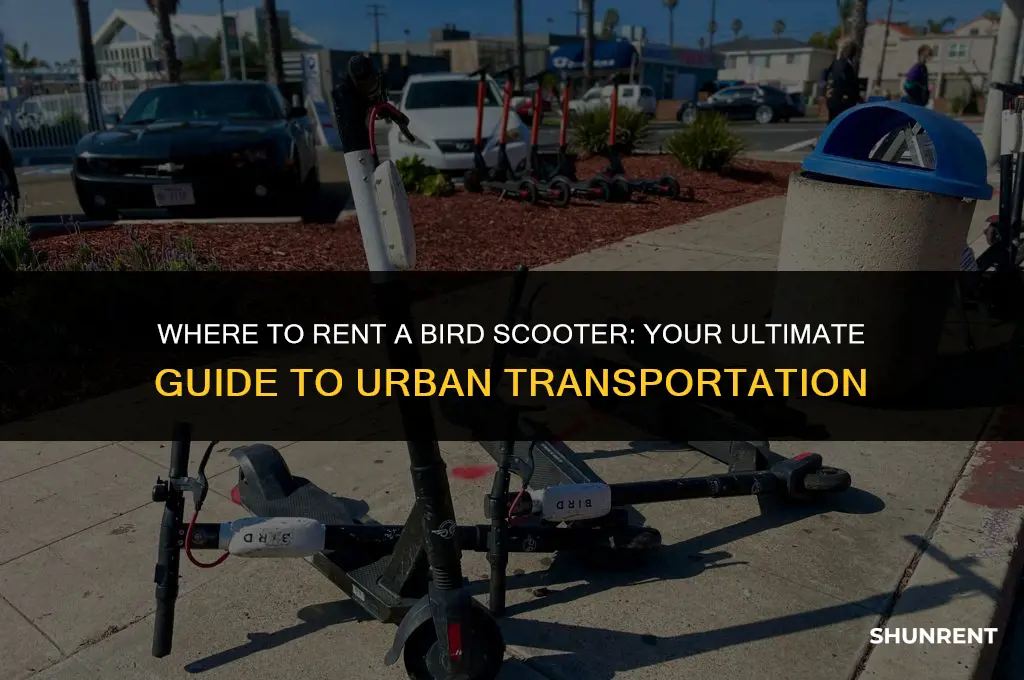 where do i rent a bird scooter
