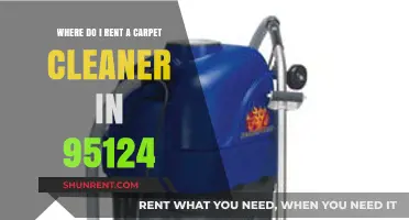Renting a Carpet Cleaner in 95124: Top Local Options & Tips