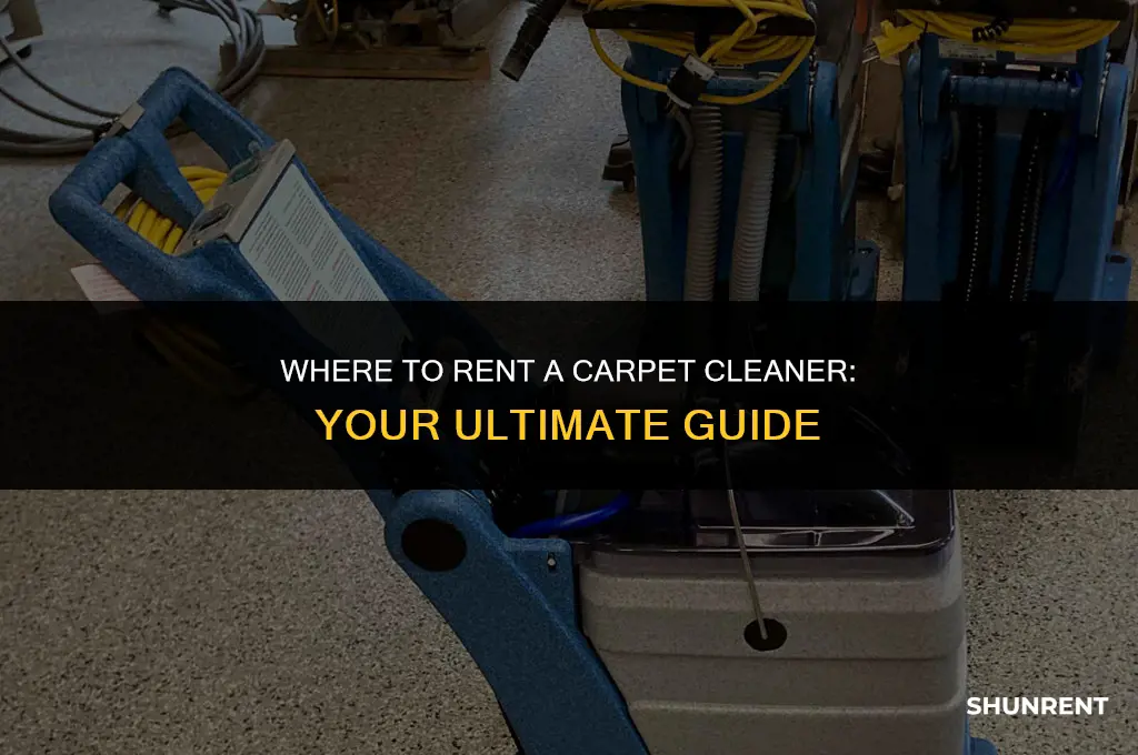 where do i rent a carpet cleaner