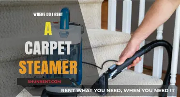Where to Rent a Carpet Steamer: Your Ultimate Guide