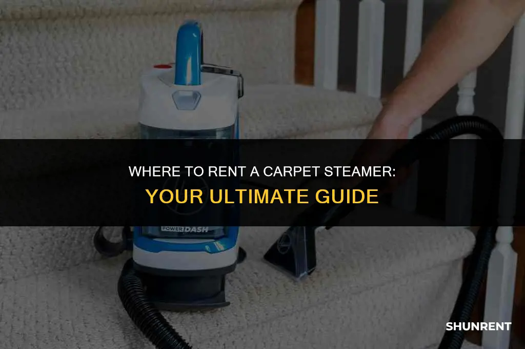 where do i rent a carpet steamer