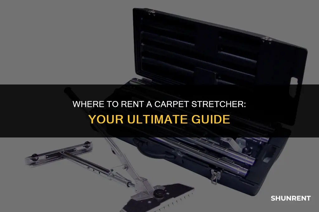 where do i rent a carpet stretcher