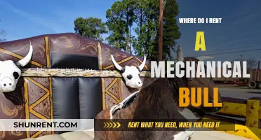 Where to Rent a Mechanical Bull: A Comprehensive Guide