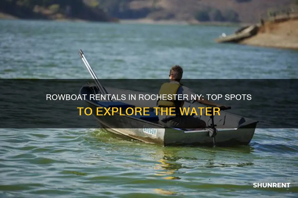 where do i rent a row boat in rochester ny