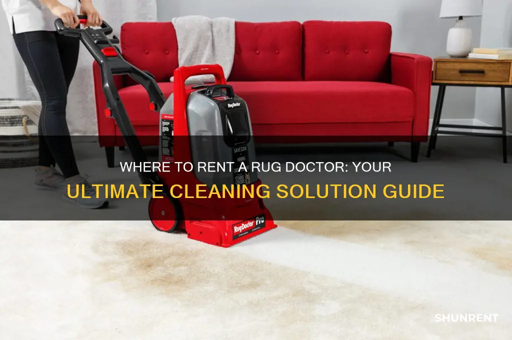 where do i rent a rug doctor