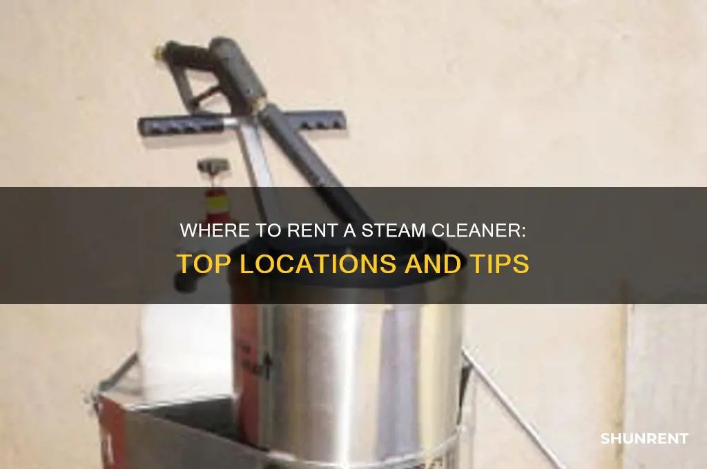 where do i rent a steam cleaner