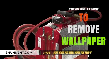 Renting a Wallpaper Steamer: Your Ultimate Guide to Local Options