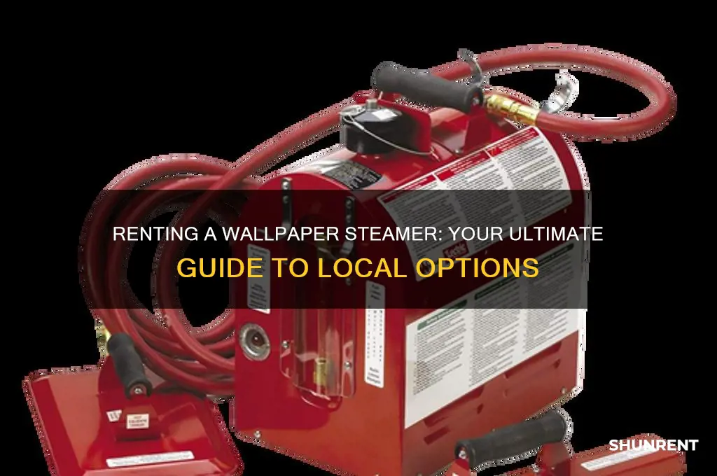 where do i rent a steamer to remove wallpaper