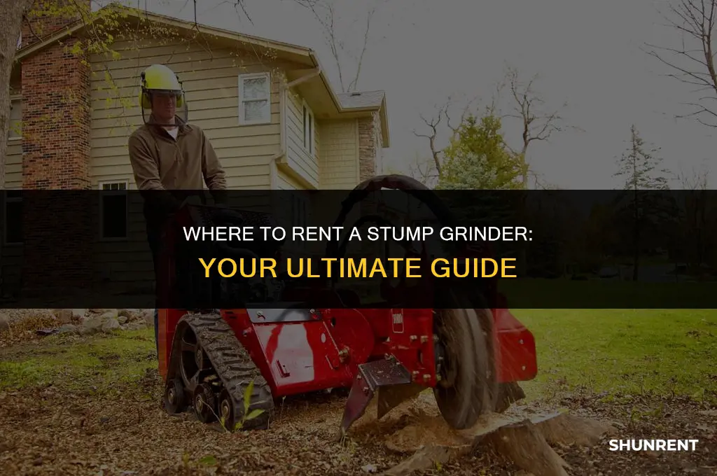 where do i rent a stump grinder