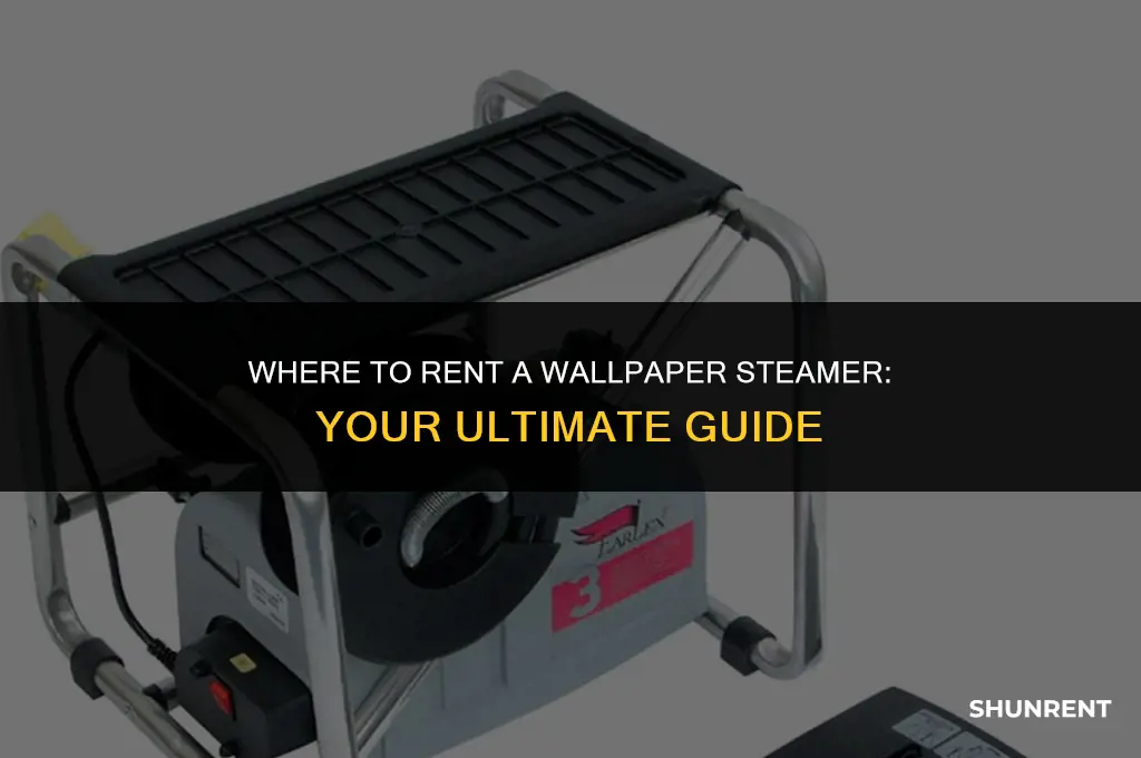 where do i rent a wallpaper steamer