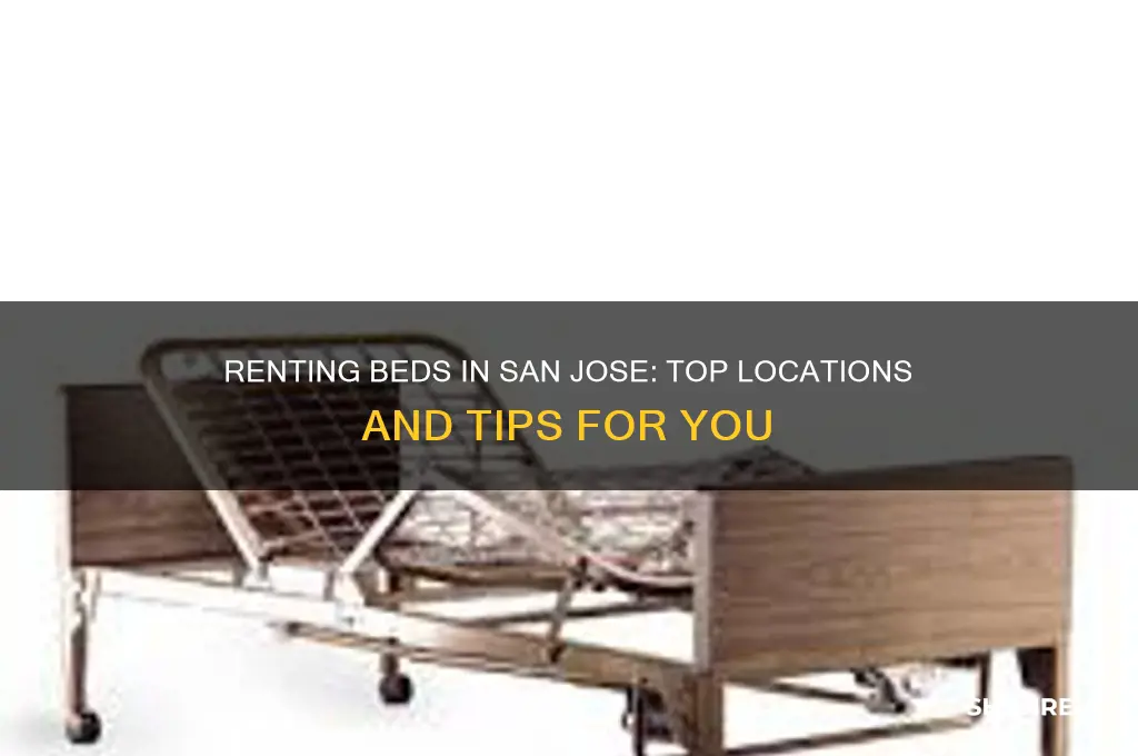 where do i rent beds in san jose