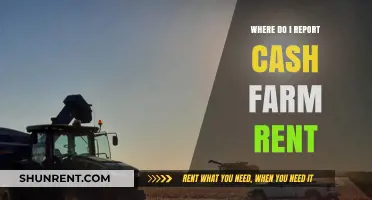 Reporting Cash Farm Rent: A Comprehensive Guide for Landlords