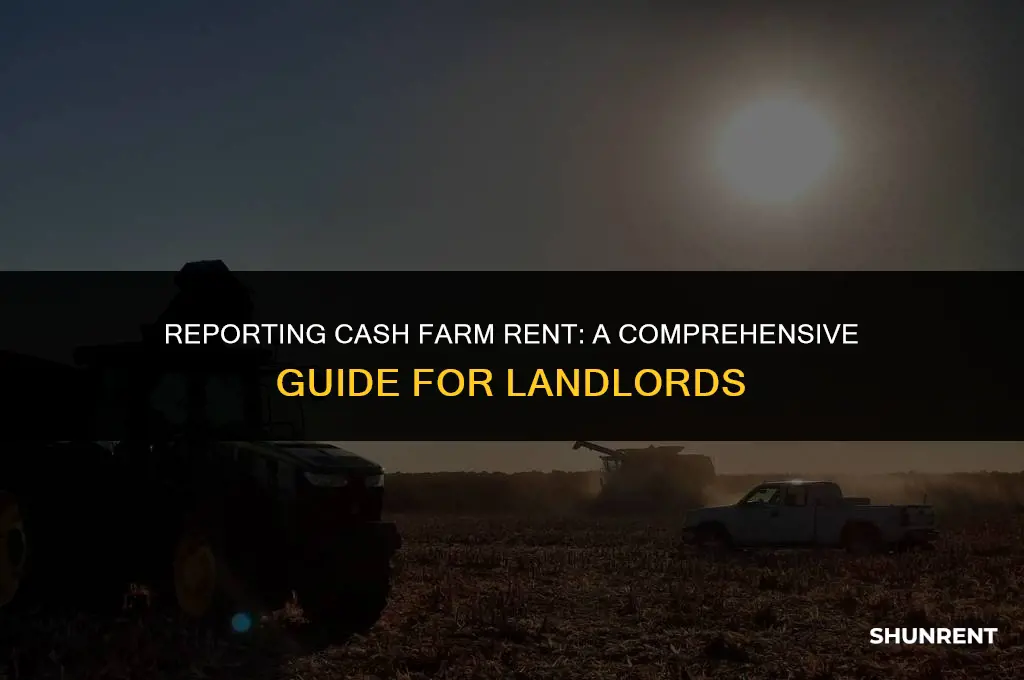 where do i report cash farm rent
