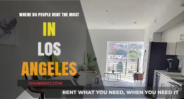 Top LA Rental Hotspots: Where Angelenos Rent the Most Homes