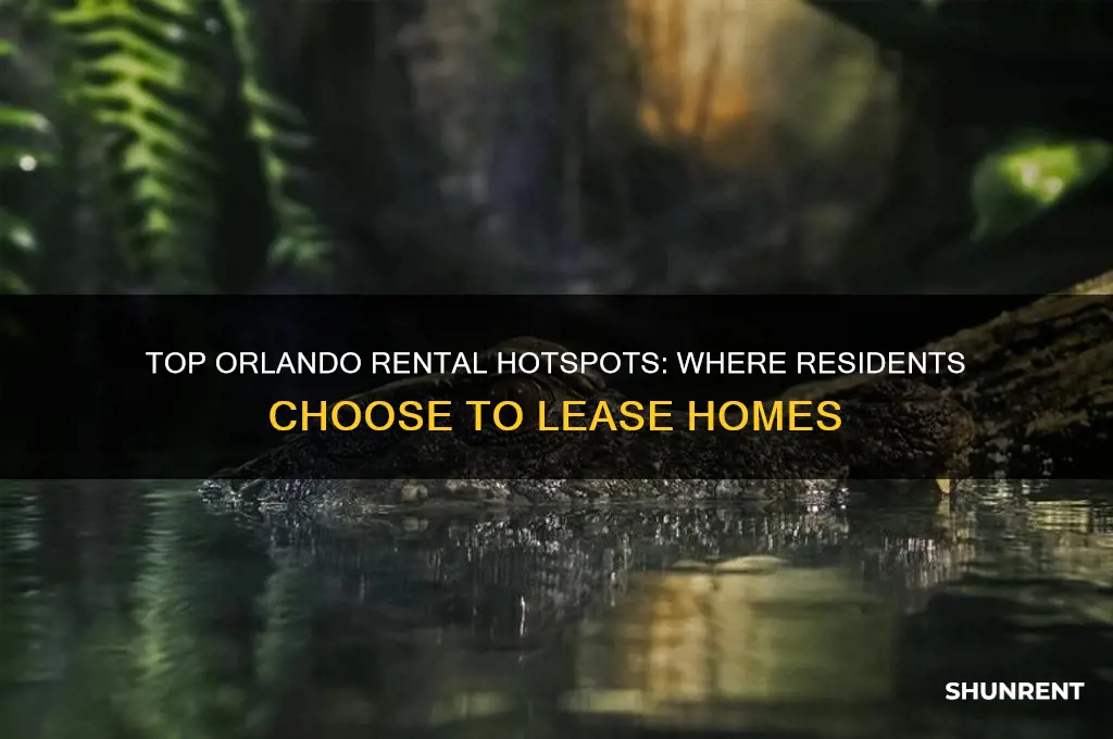 where do people rent the most in orlando