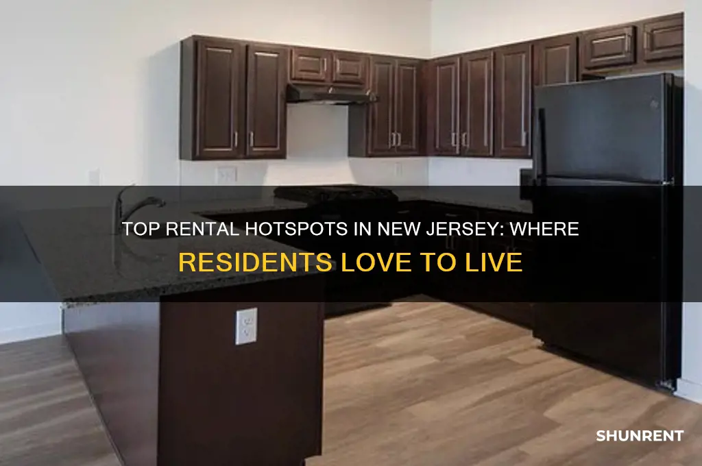 where do pople often rent in new jersey