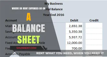 Where Rent Expenses Belong on Your Balance Sheet: A Guide