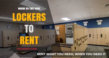 Exploring Locker Rental Options Near You: A Comprehensive Guide
