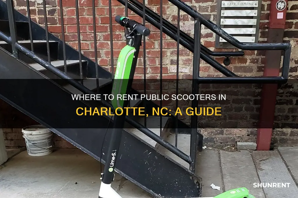 where do we rent public scooter in charlotte nc